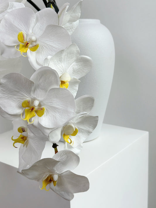 Deluxe Real Touch Phalaenopsis Orchid in Crisp White