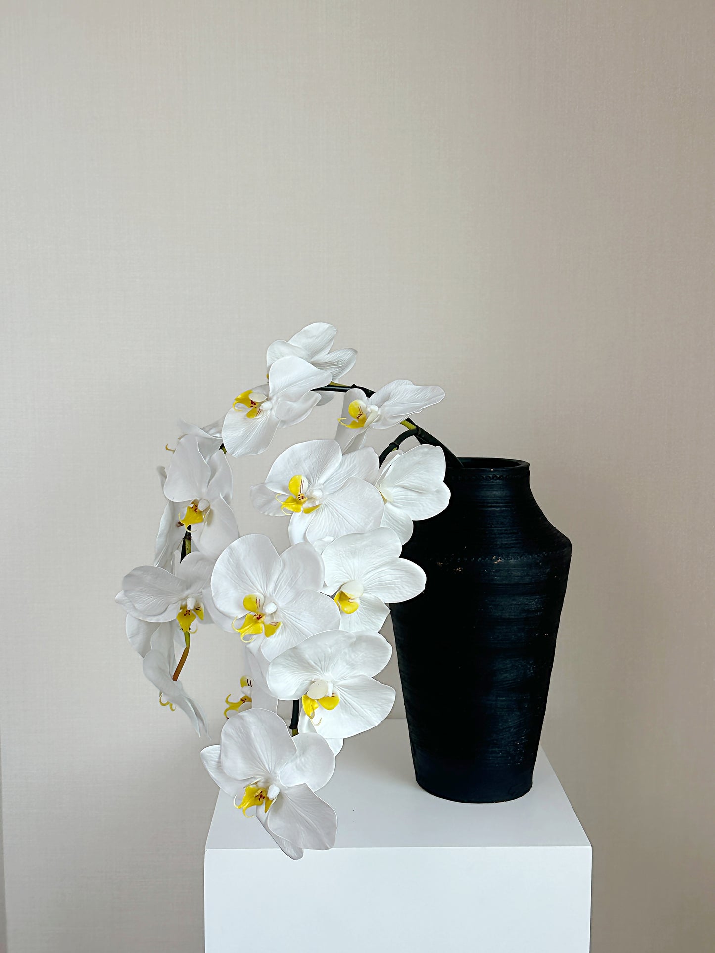 Deluxe Real Touch Phalaenopsis Orchid in Crisp White