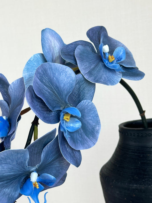 Deluxe Real Touch Phalaenopsis Orchid in Enchanted Blue