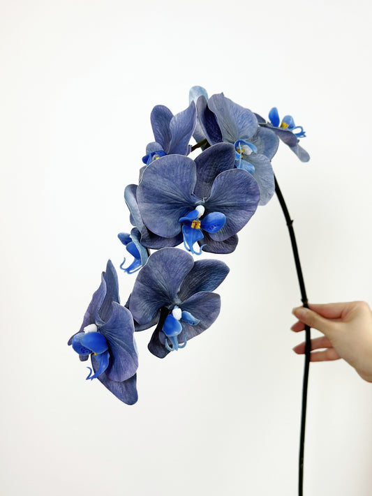 Deluxe Real Touch Phalaenopsis Orchid in Enchanted Blue