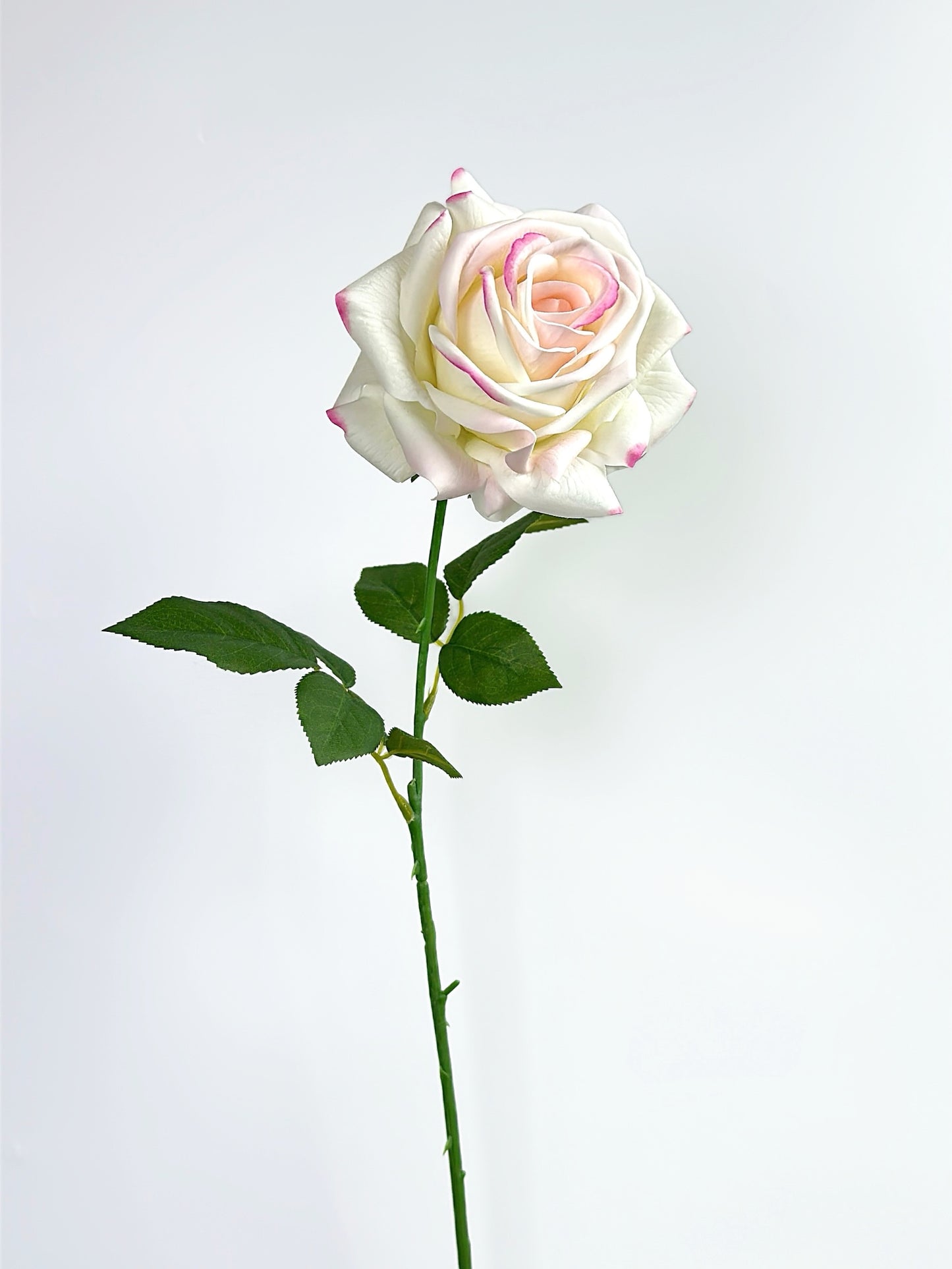 Deluxe Real Touch Rose in Blush Pink