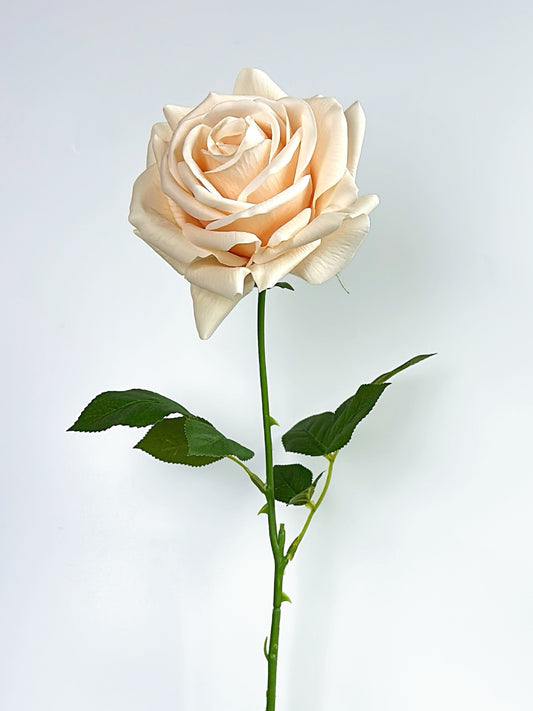 Deluxe Real Touch Rose in Champagne Color