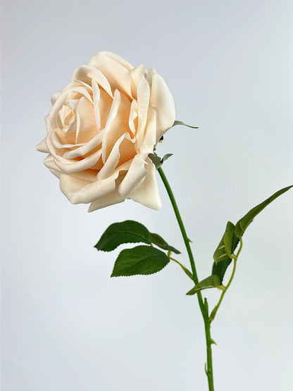 Deluxe Real Touch Rose in Champagne Color
