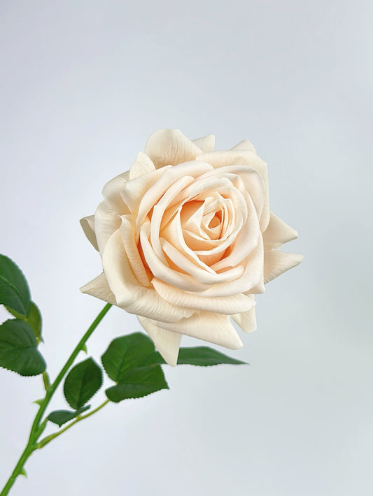 Deluxe Real Touch Rose in Champagne Color