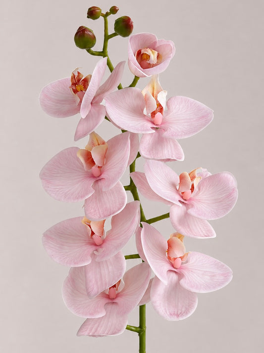 Real Touch Phalaenopsis Orchid in Blush Pink - 1 Stem