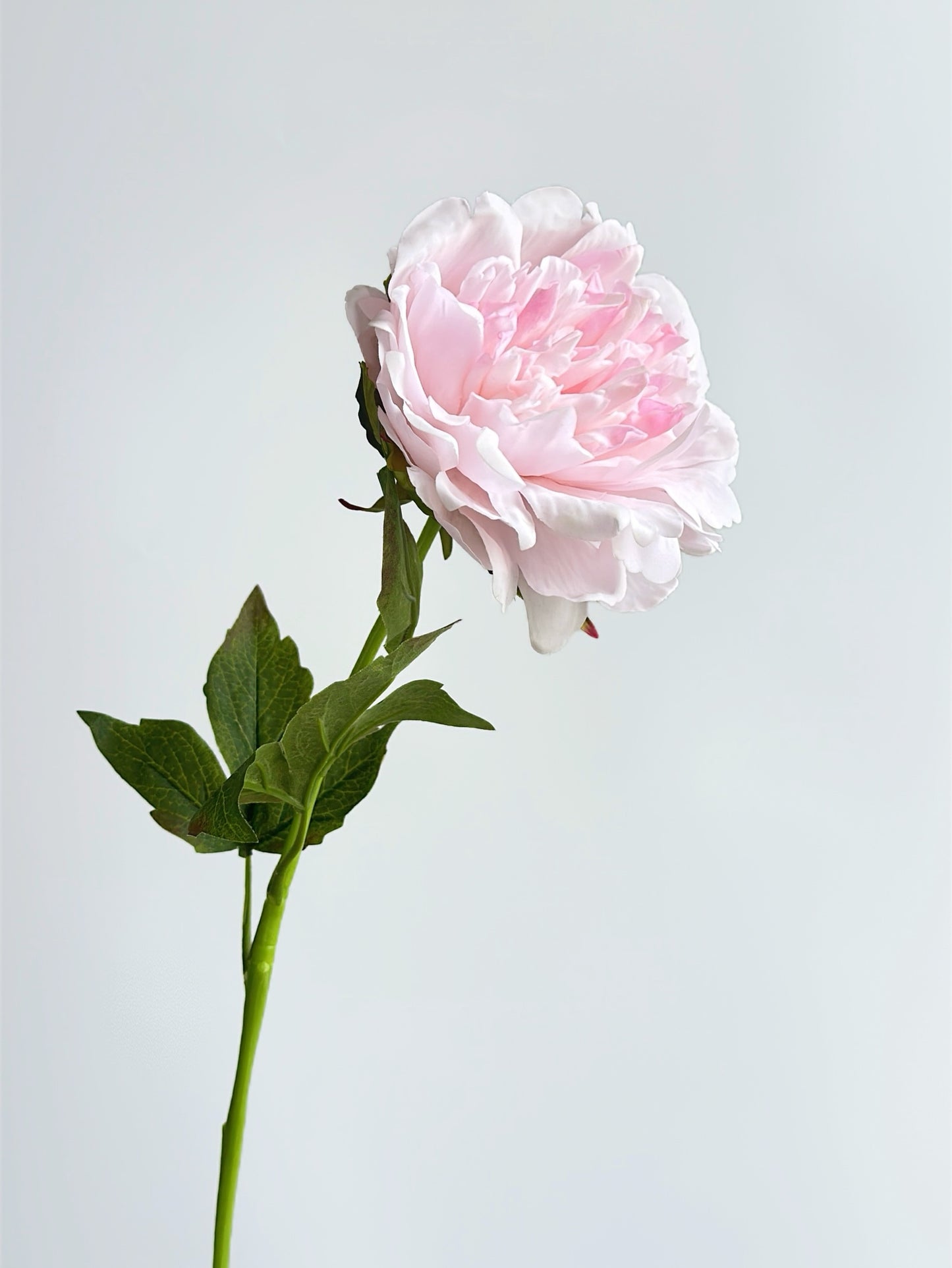 Real Touch Faux Peony in Pale Pink