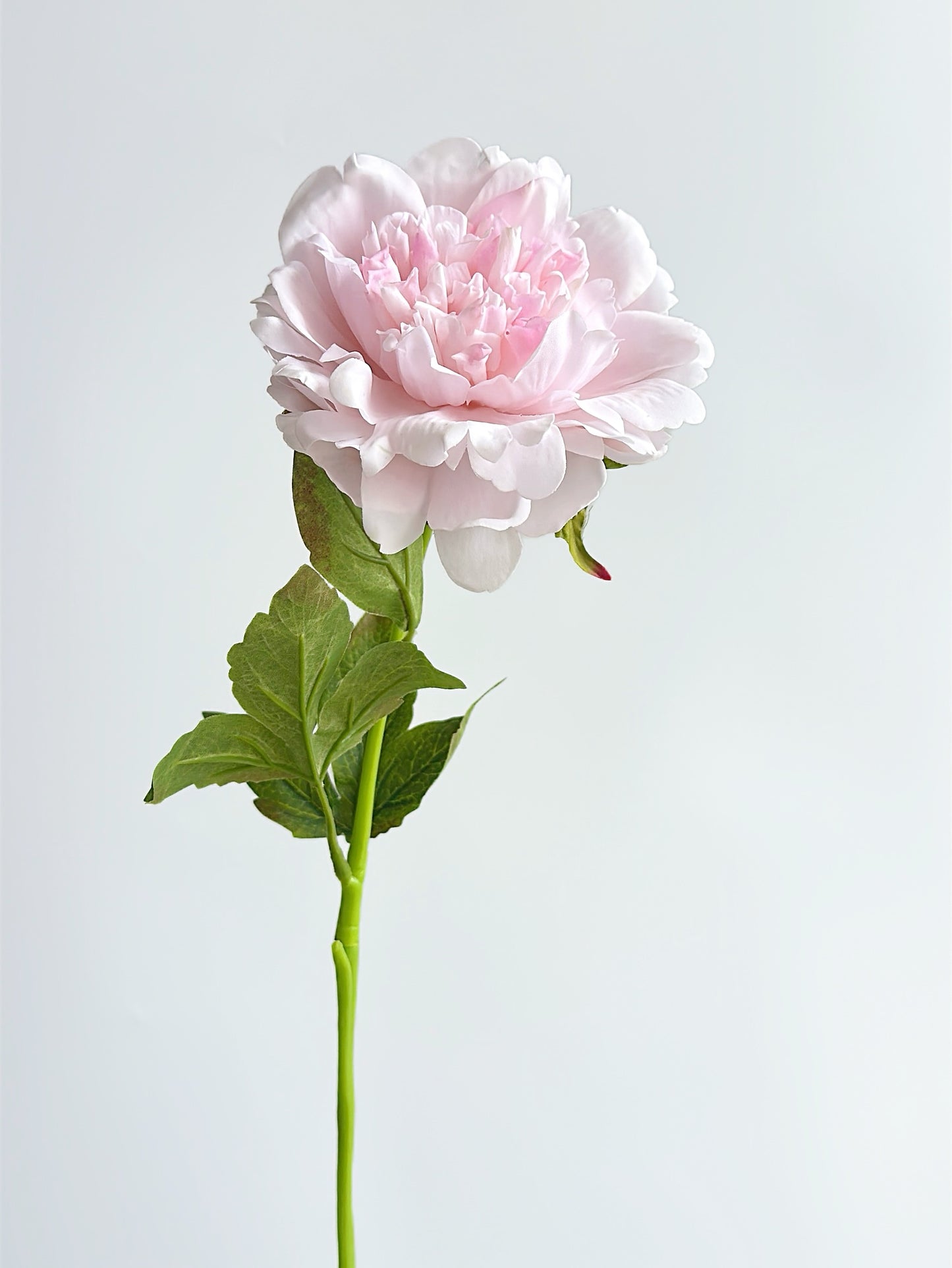 Real Touch Faux Peony in Pale Pink