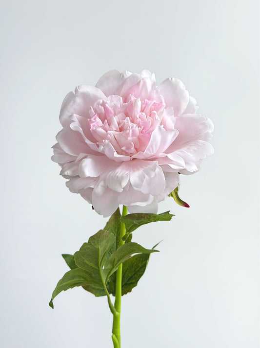Real Touch Faux Peony in Pale Pink