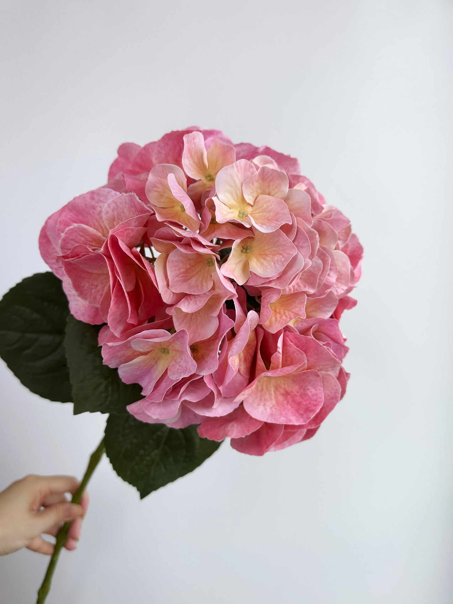 Faux Real Touch Large Leaf Hydrangea in Peach Pink
