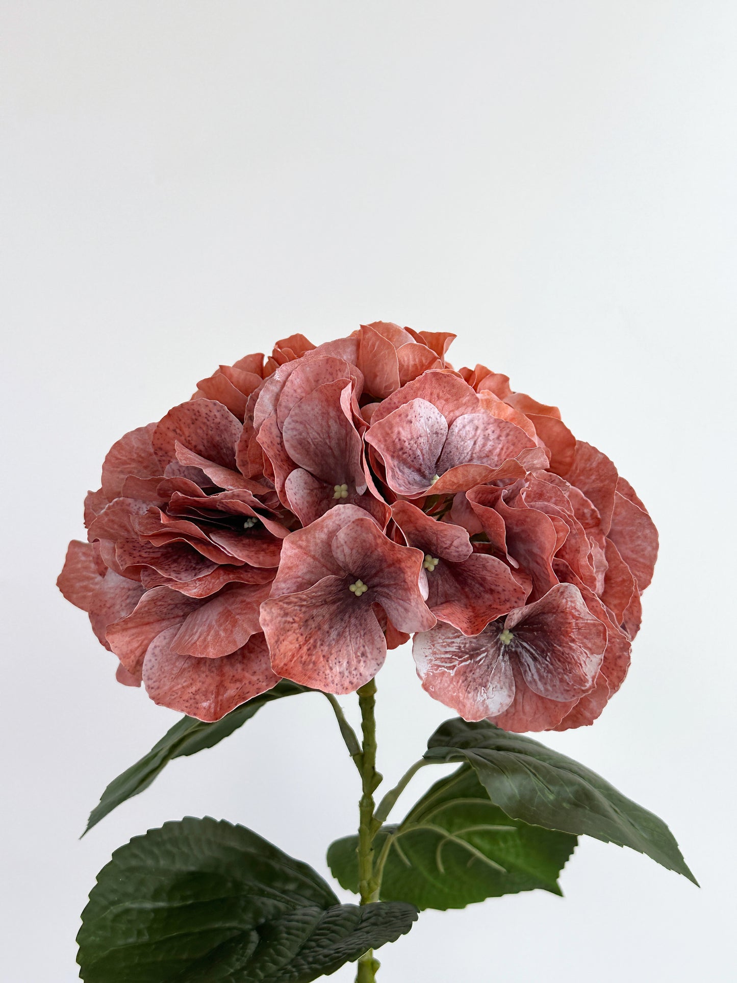 Faux Real Touch Large Leaf Hydrangea in Fawn