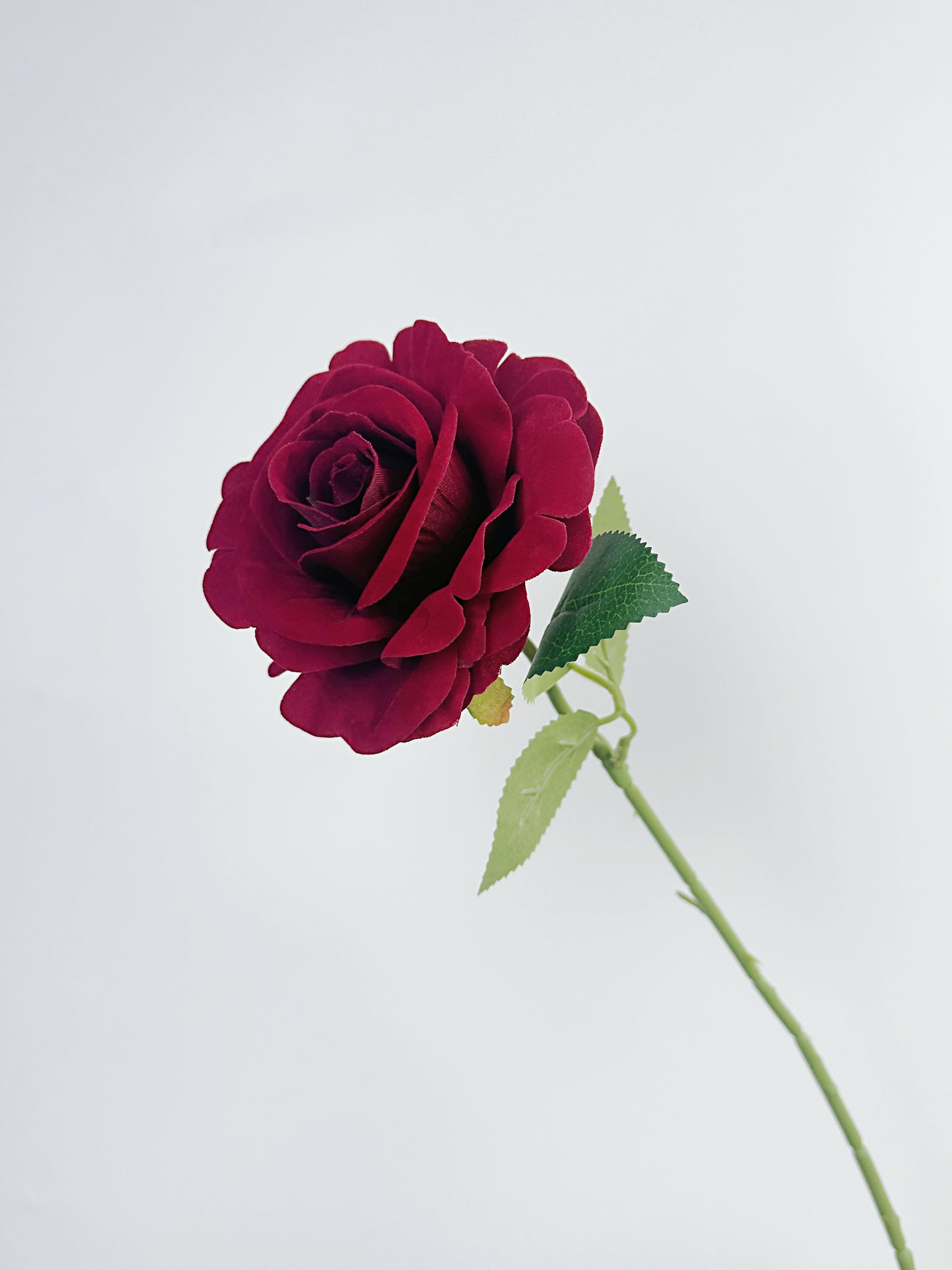 Flocked Petal Rose in Burgundy Red