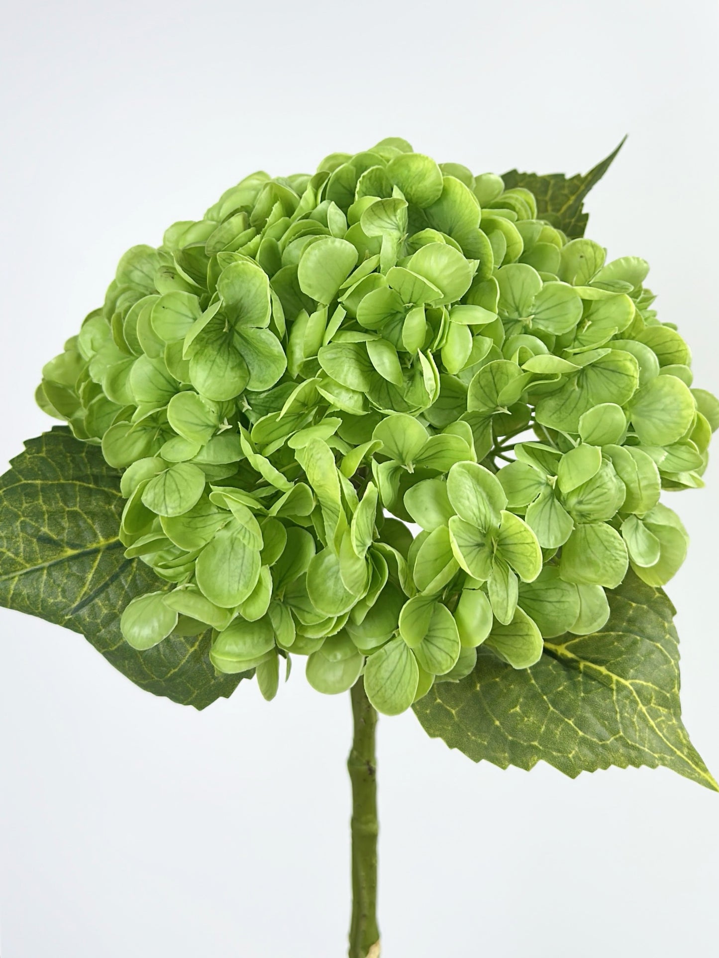 Leafy Green Real Touch Hydrange