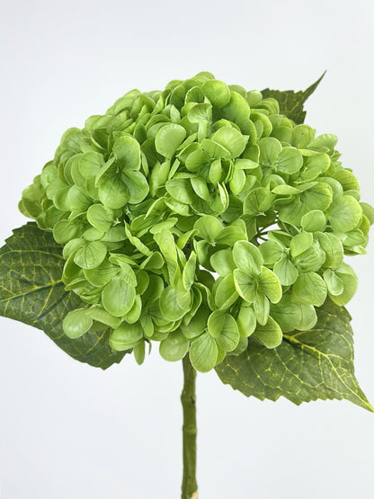 Leafy Green Real Touch Hydrange