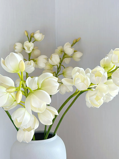 White Lily of Valley