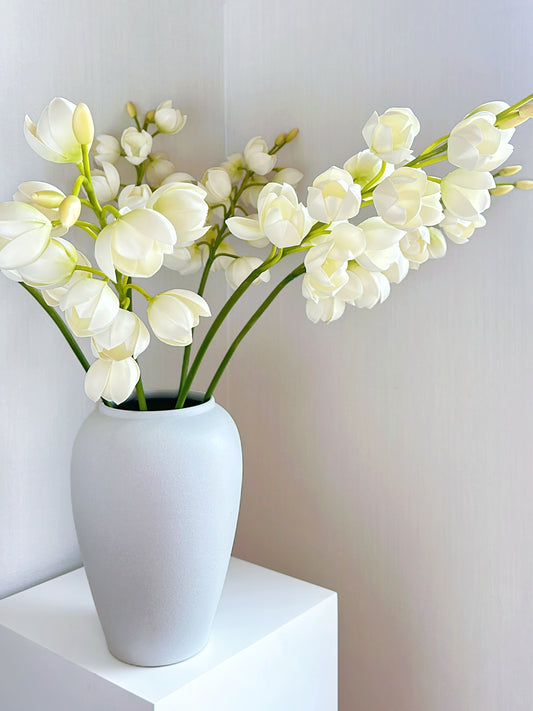 White Lily of Valley