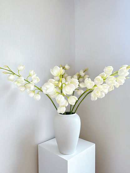 White Lily of Valley
