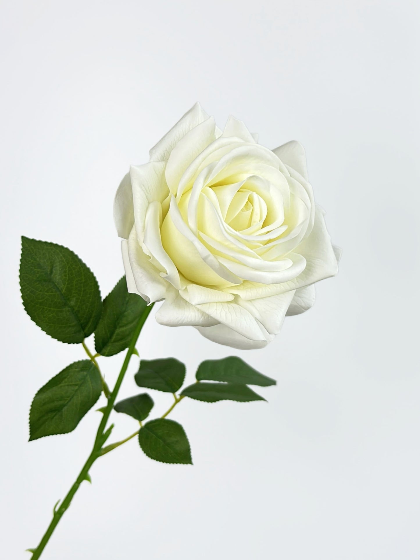 Deluxe Real Touch Rose in Pearl White