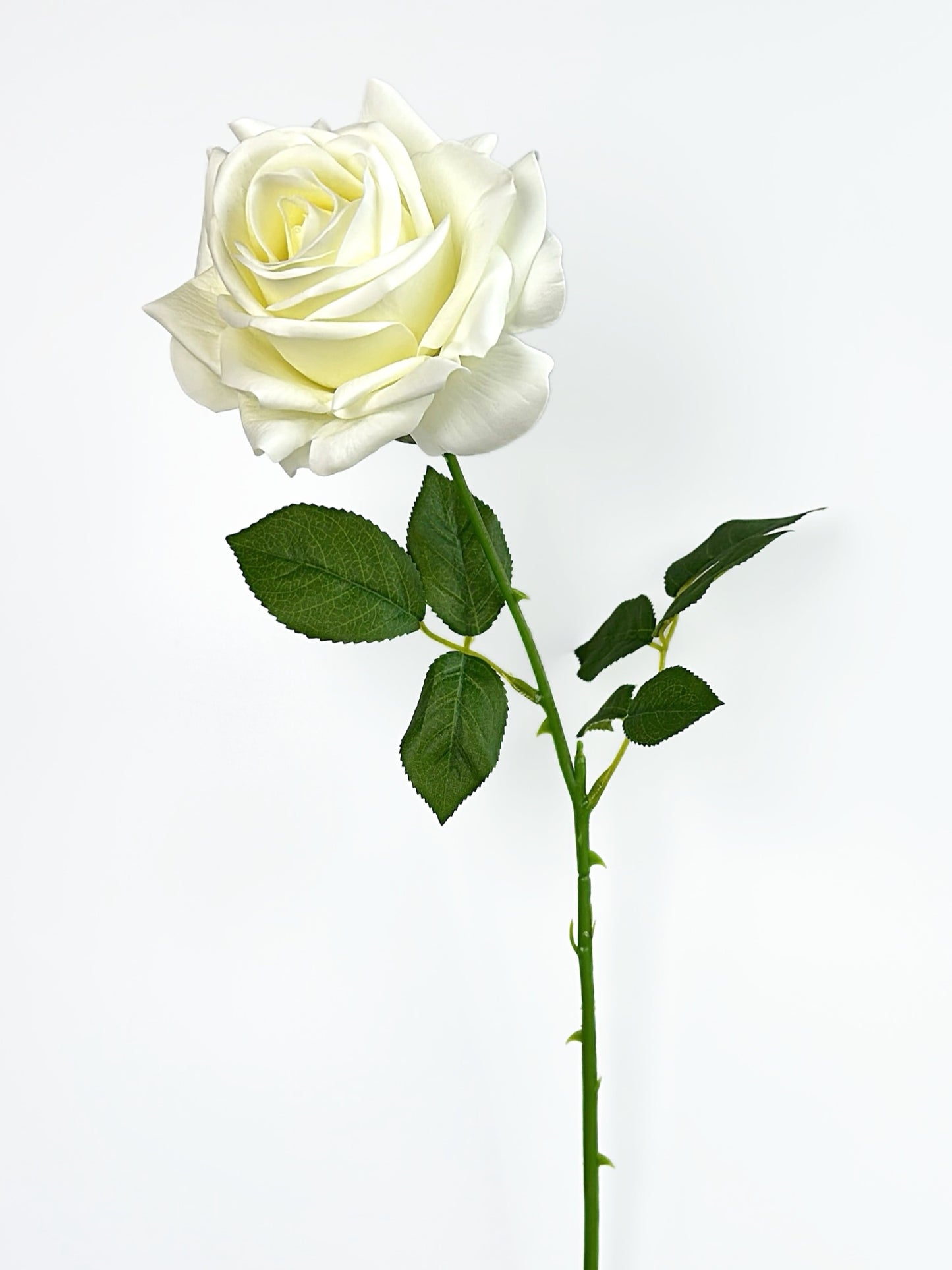 Deluxe Real Touch Rose in Pearl White