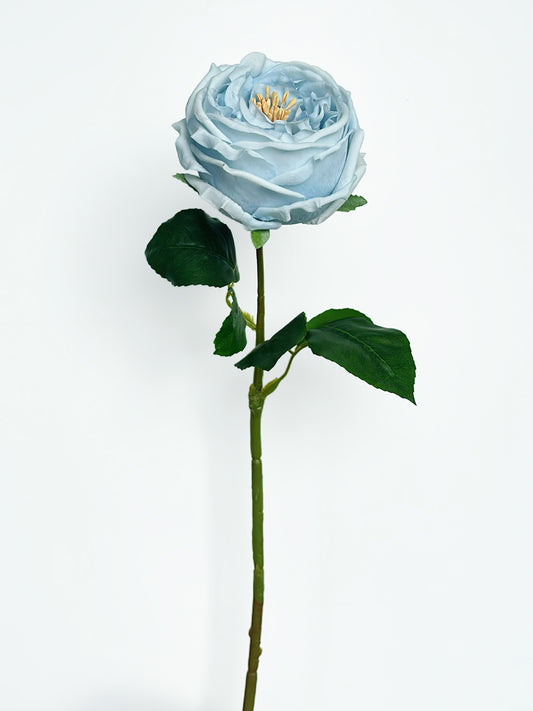 Real Touch Austin Cabbage Rose in Dusty Blue (Single-Stem Price)