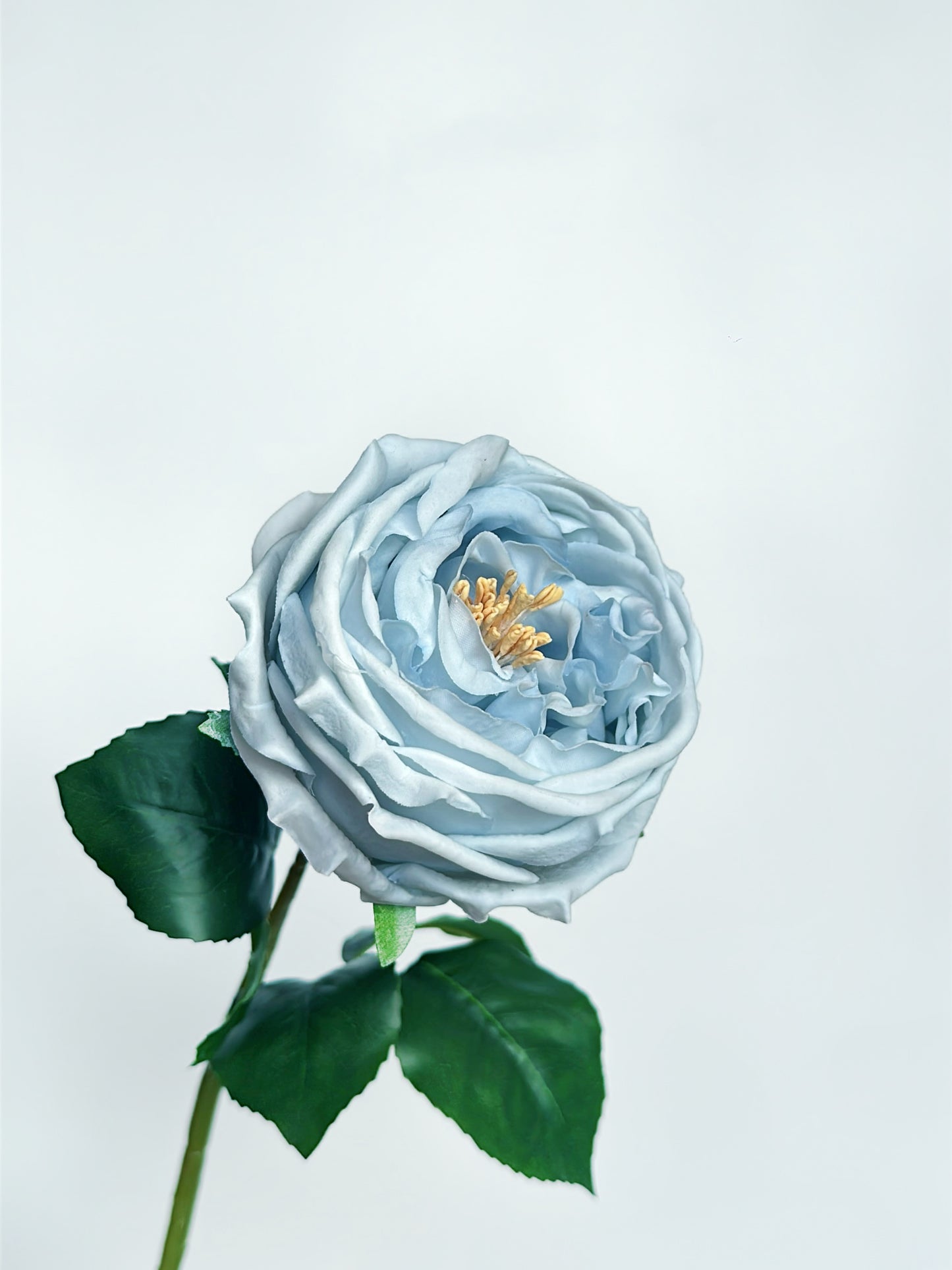 Real Touch Austin Cabbage Rose in Dusty Blue (Single-Stem Price)