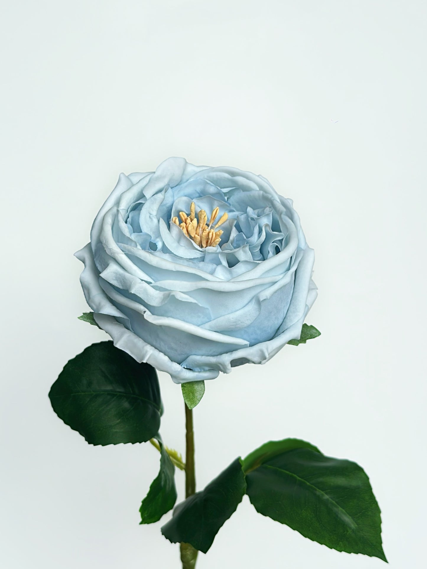 Real Touch Austin Cabbage Rose in Dusty Blue (Single-Stem Price)