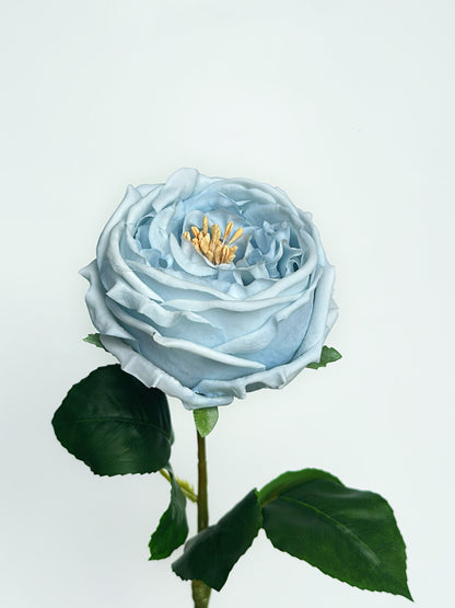 Real Touch Austin Cabbage Rose in Dusty Blue (Single-Stem Price)