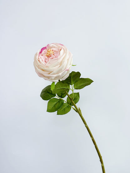 Real Touch Austin Cabbage Rose in Pink