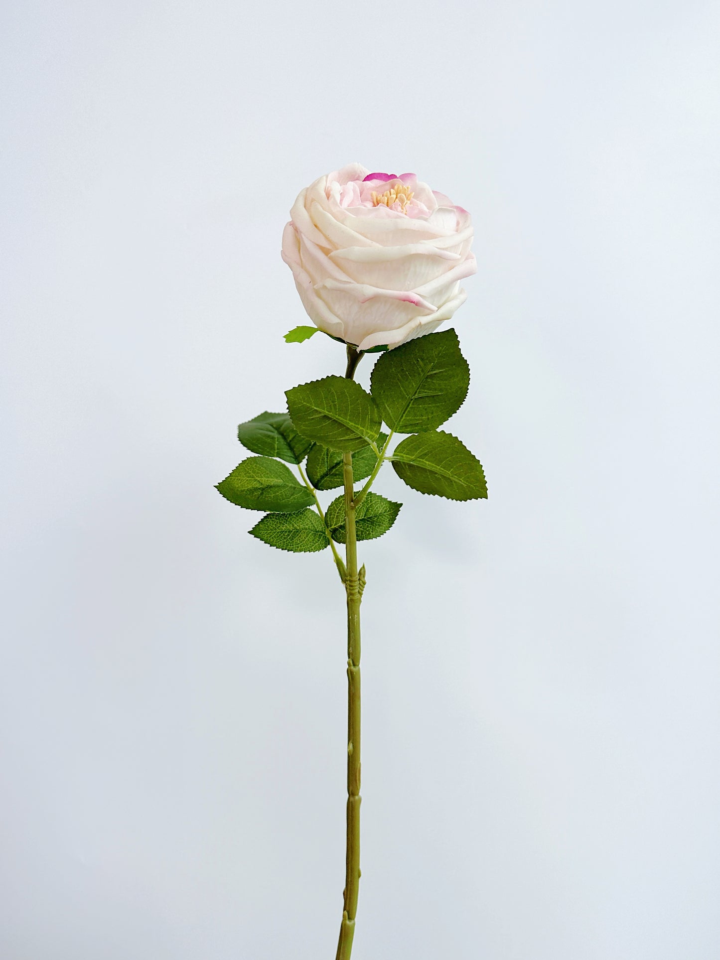 Real Touch Austin Cabbage Rose in Pink