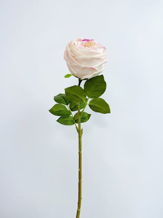 Real Touch Austin Cabbage Rose in Pink