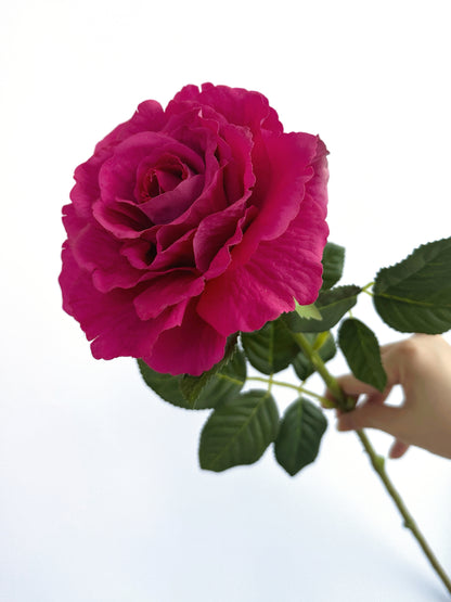 Real Touch Grand Tea Rose in Fuchsia Pink