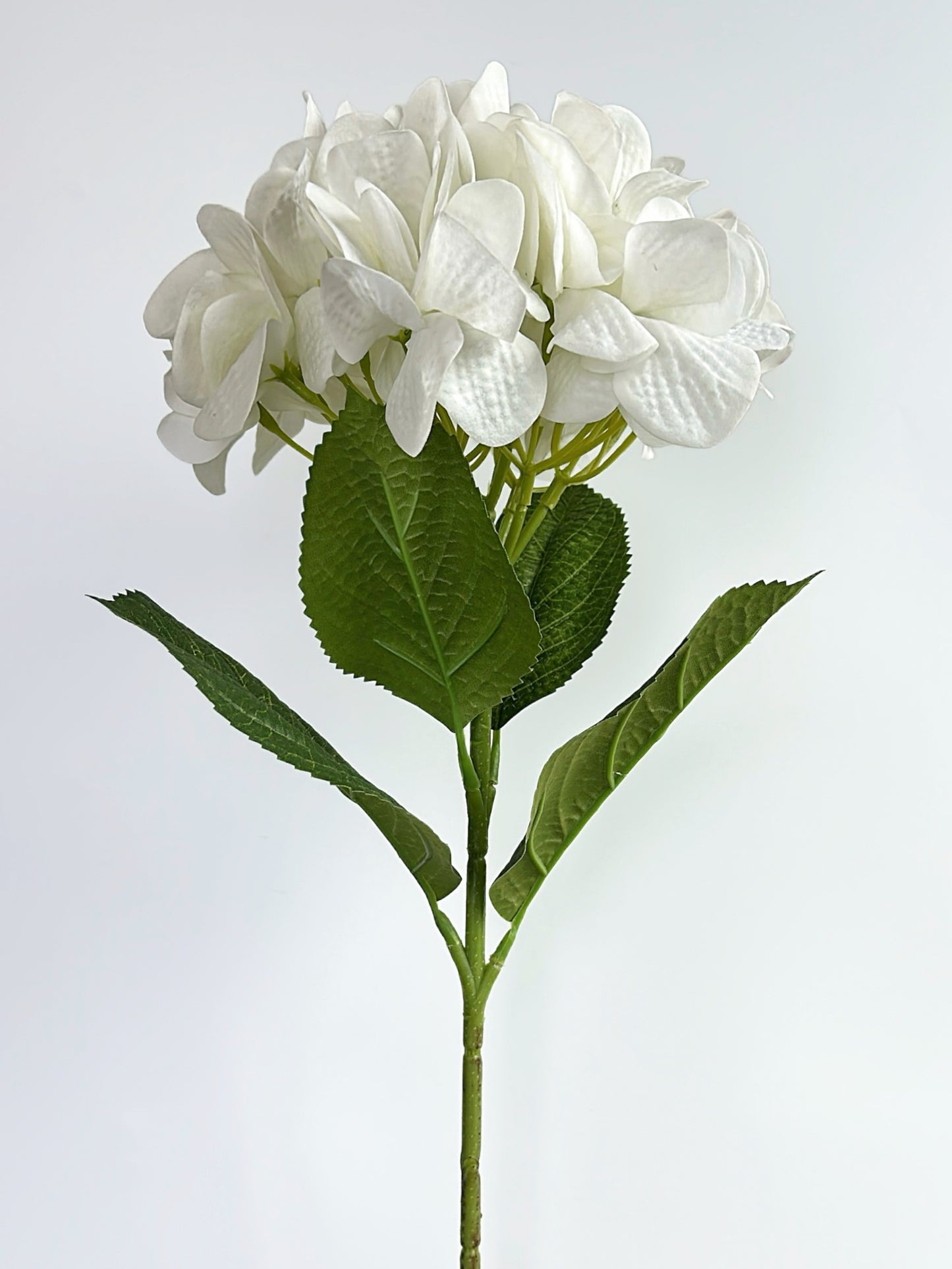 Real Touch Hydrangea in Cream White