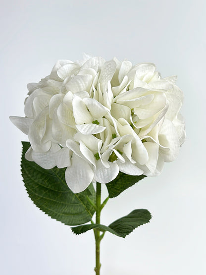 Real Touch Hydrangea in Cream White