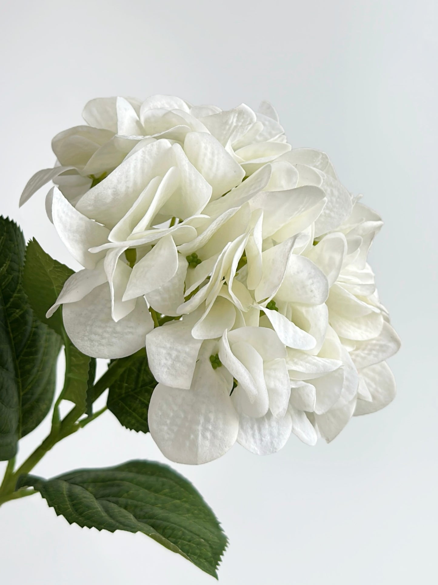 Real Touch Hydrangea in Cream White