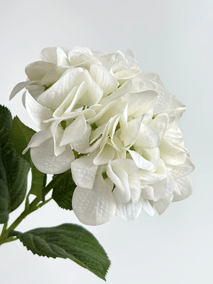 Real Touch Hydrangea in Cream White