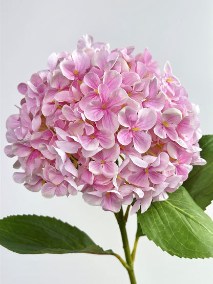 Real Touch Long Stem Hydrangea in Light Pink