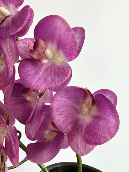 Purple Real Touch Phalaenopsis Orchid