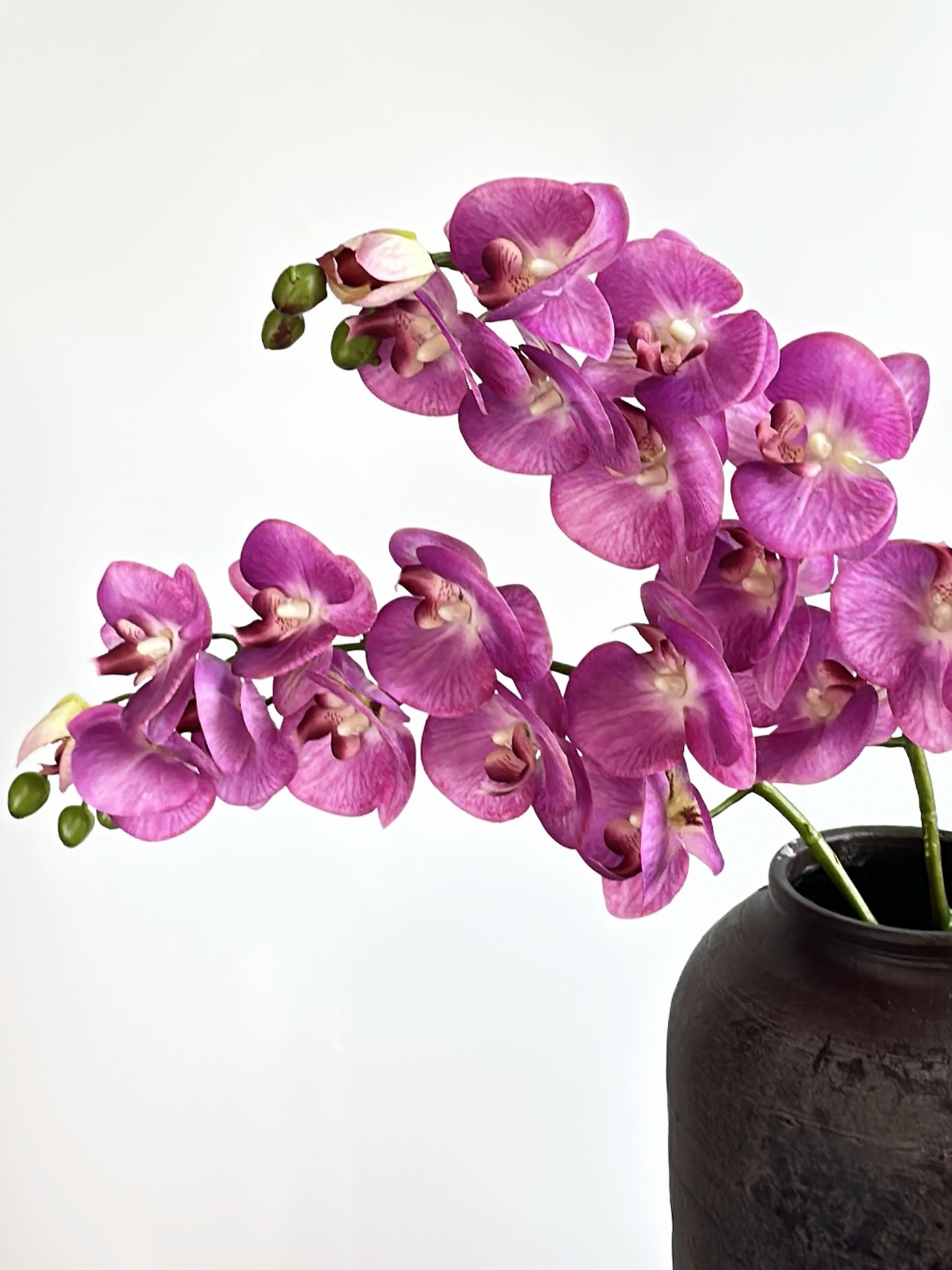 Purple Real Touch Phalaenopsis Orchid