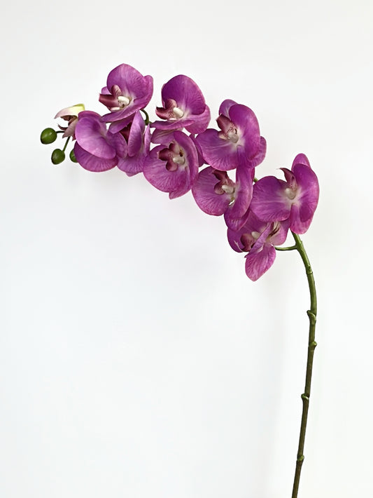 Purple Real Touch Phalaenopsis Orchid