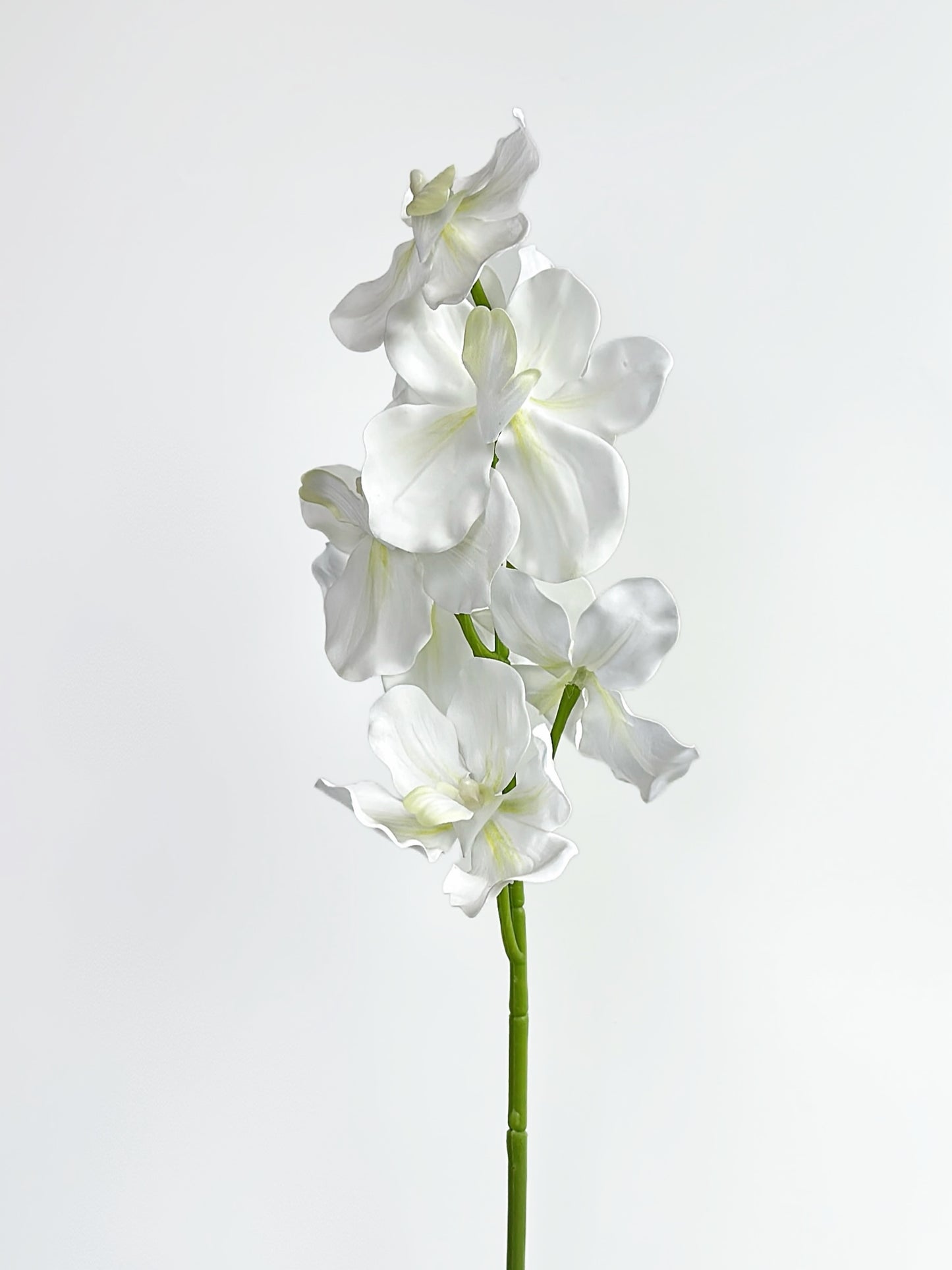 Real Touch Vanda Orchid in Cream White