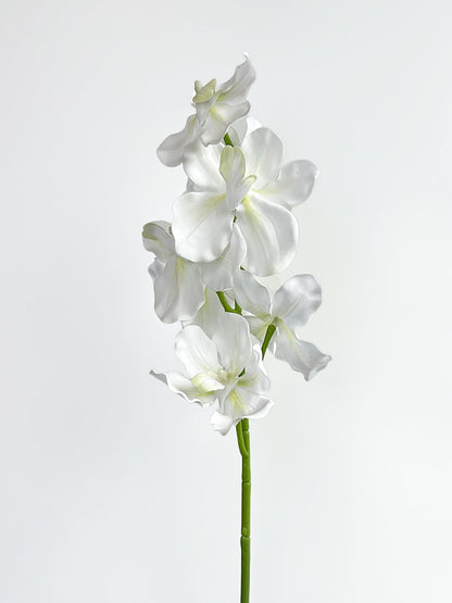 Real Touch Vanda Orchid in Cream White