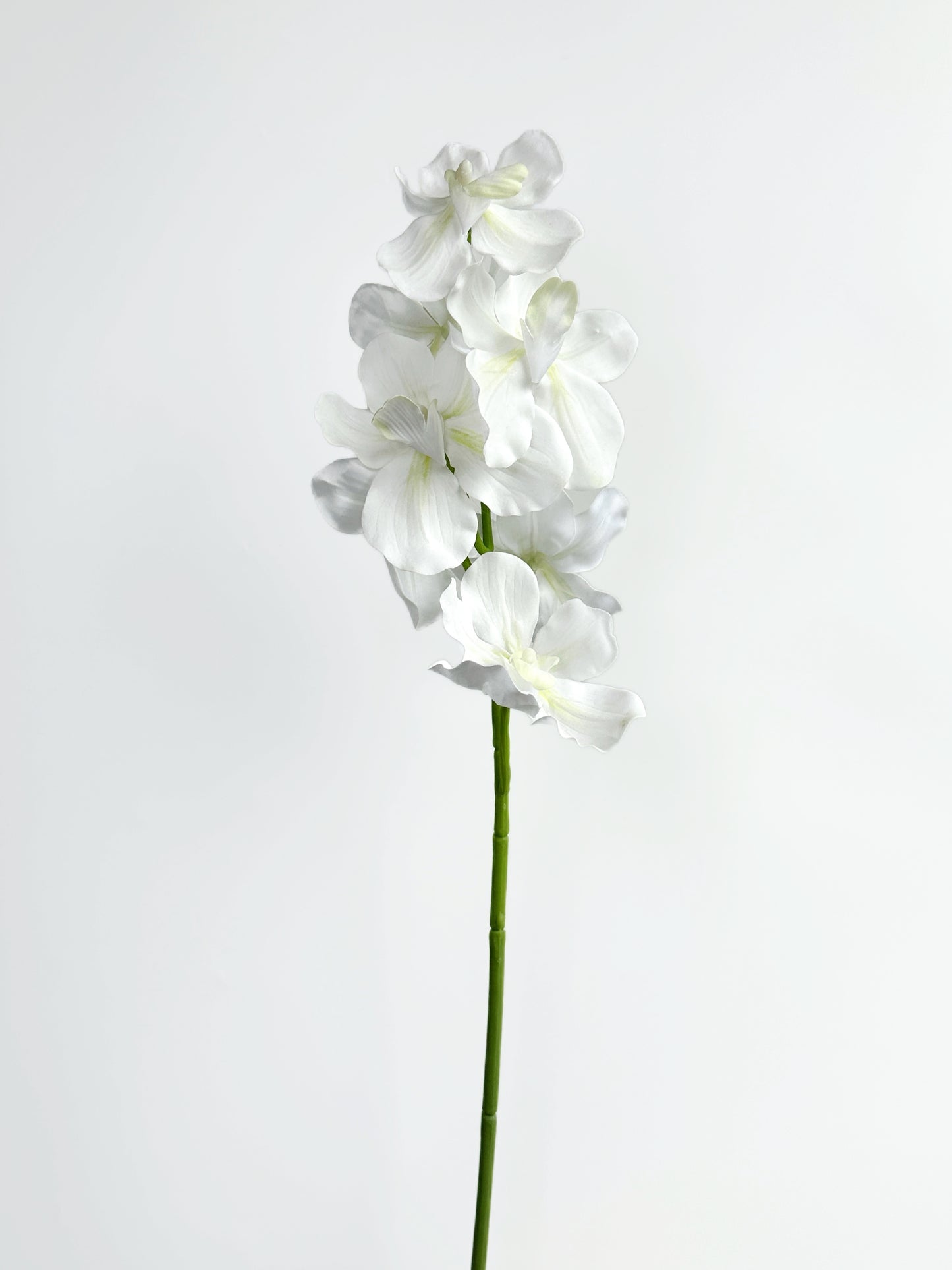 Real Touch Vanda Orchid in Cream White