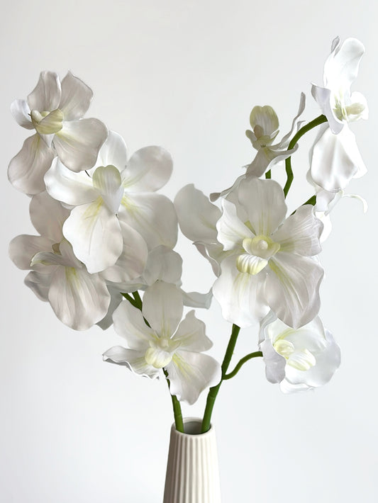 Real Touch Vanda Orchid in Cream White