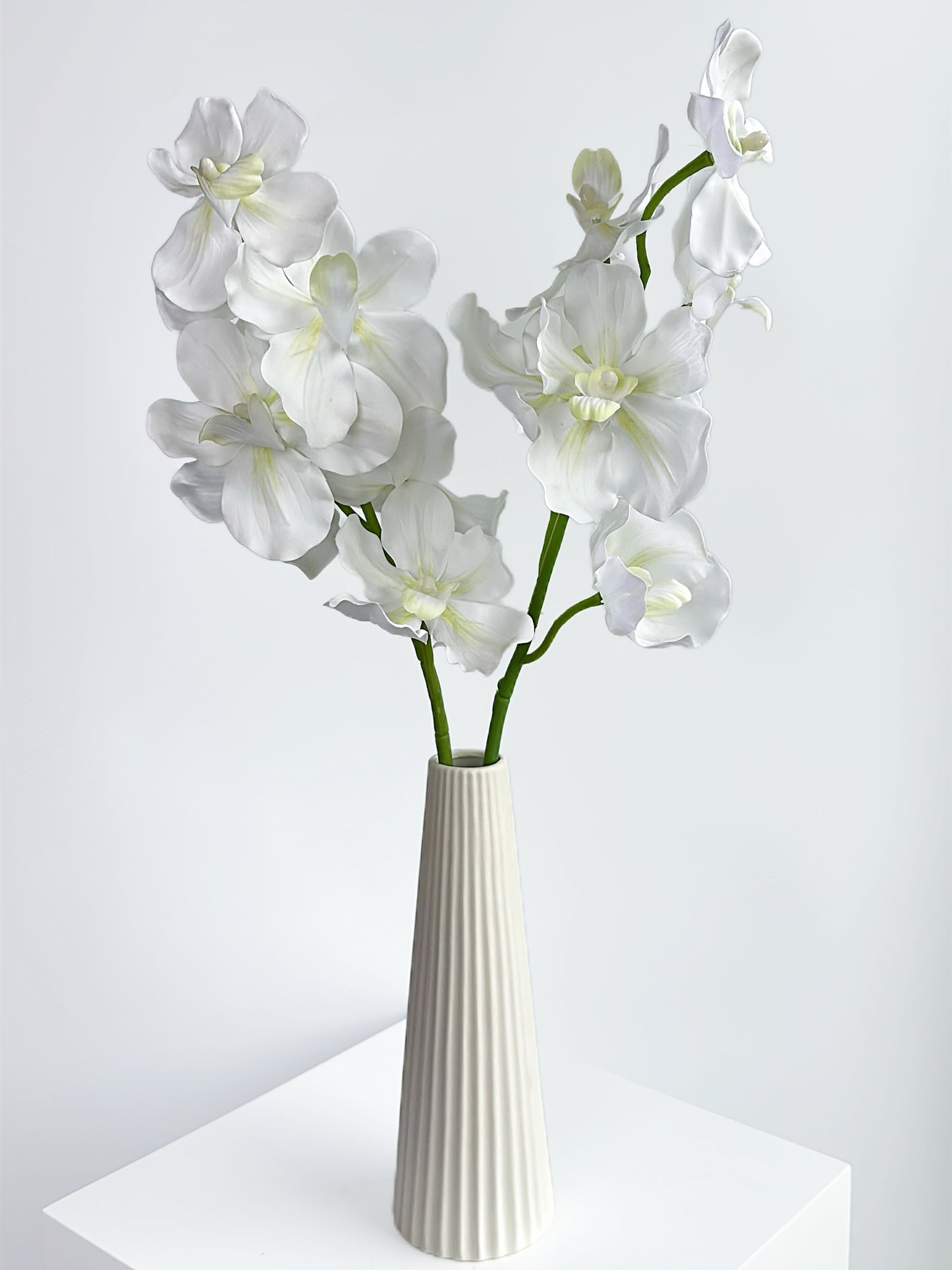 Real Touch Vanda Orchid in Cream White