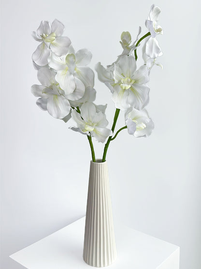 Real Touch Vanda Orchid in Cream White