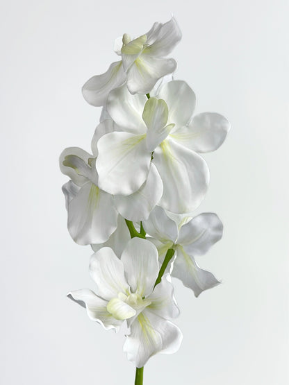 Real Touch Vanda Orchid in Cream White