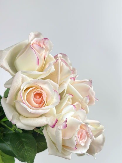 Real Touch White Budding Rose