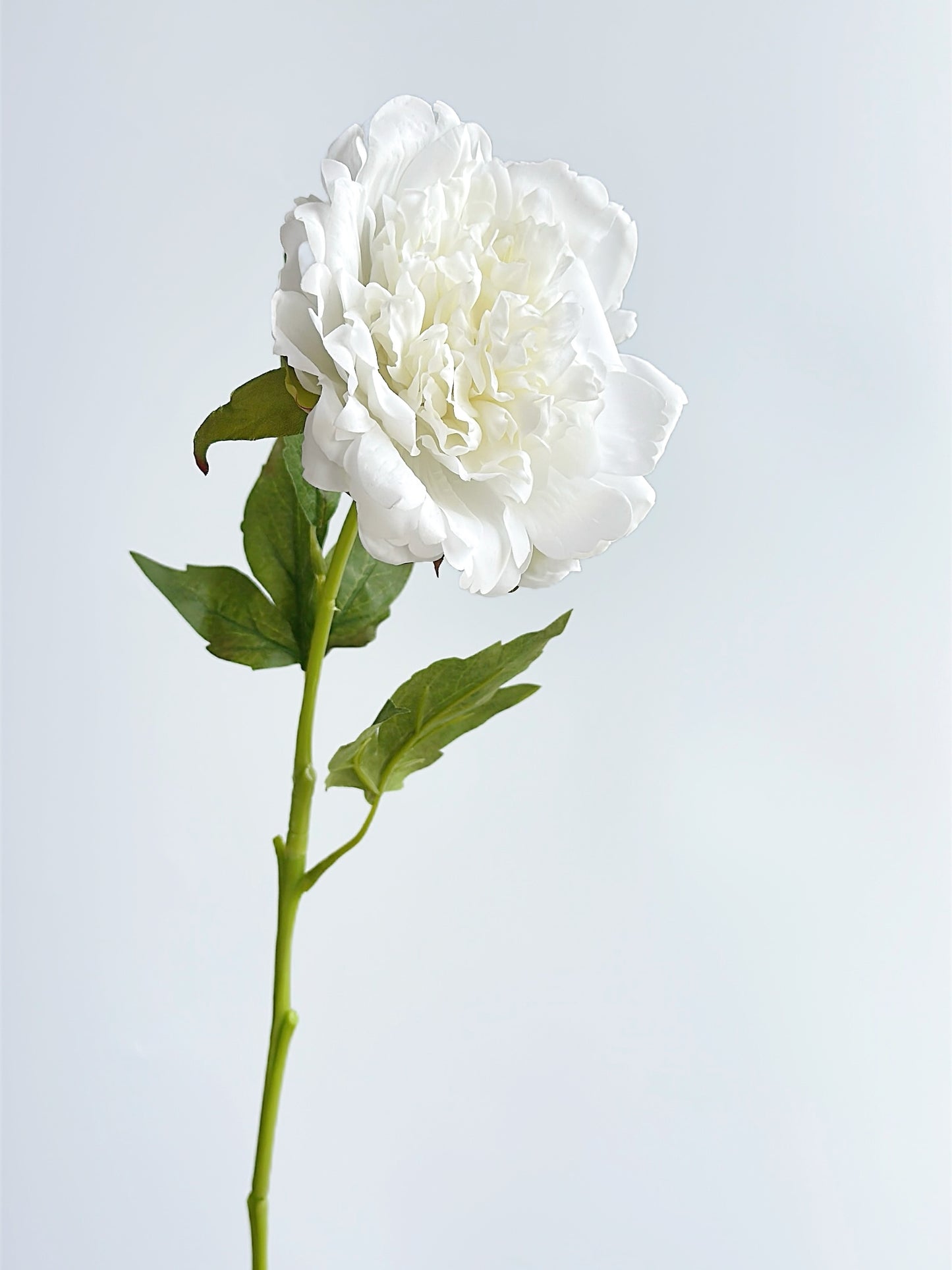 Real Touch Faux Peony in Snow White