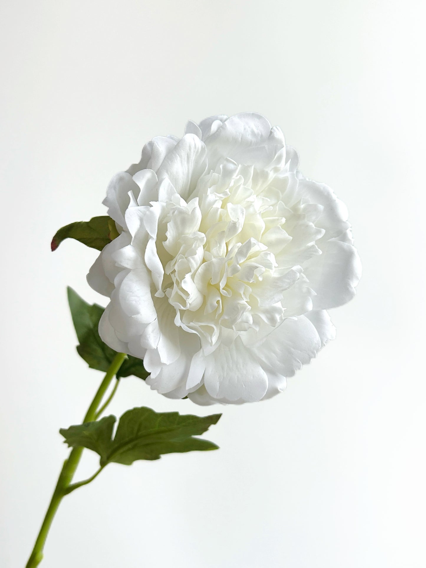Real Touch Faux Peony in Snow White