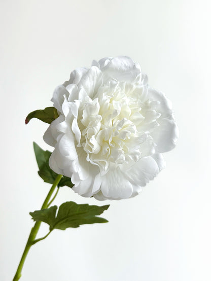 Real Touch Faux Peony in Snow White
