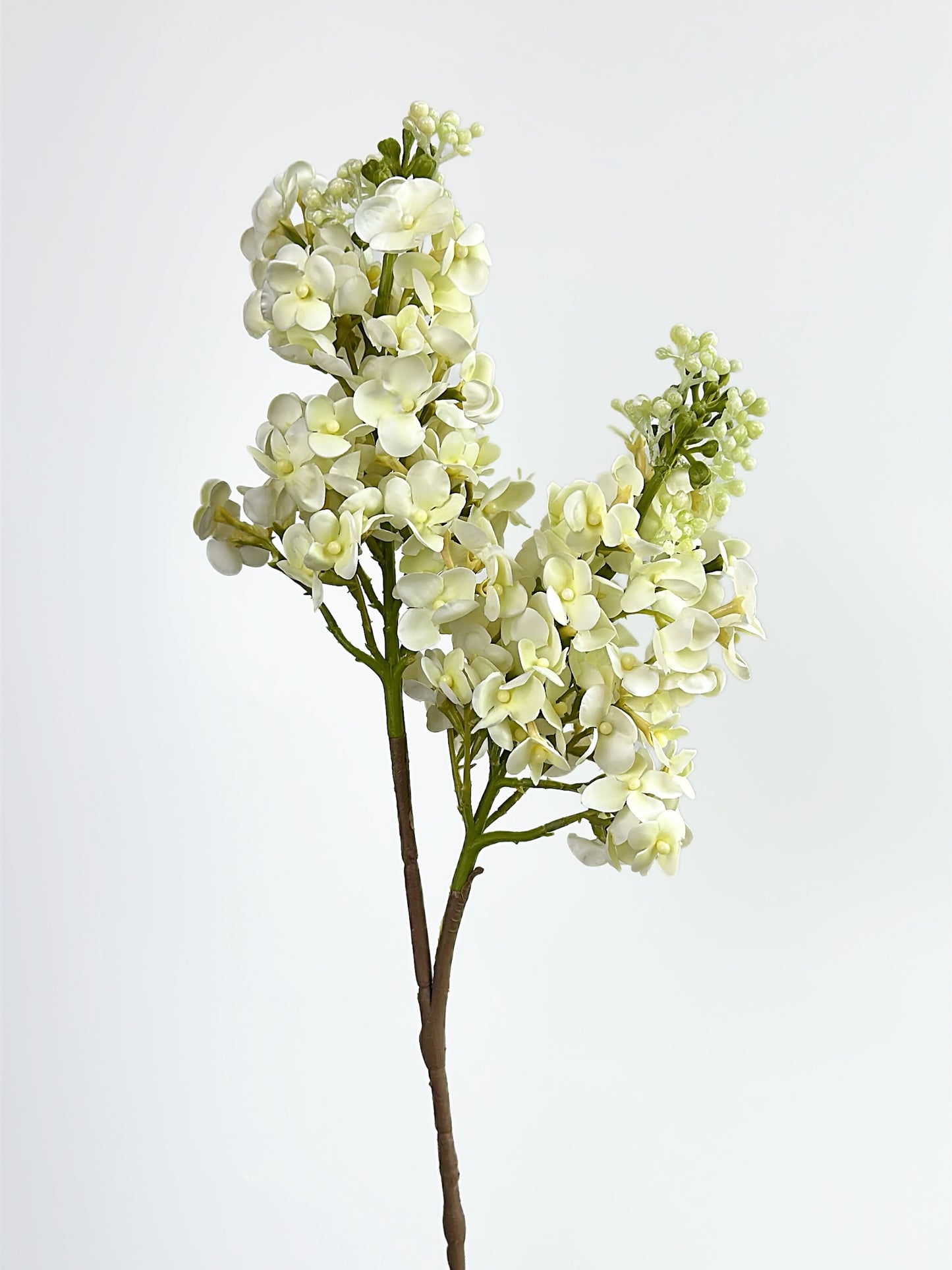 Cream Real Touch Lilac Blooming Branch